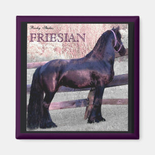 大きいFriesianの馬の磁石2 マグネット
