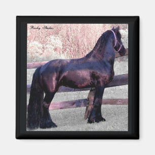 大きいFriesianの馬の磁石 マグネット