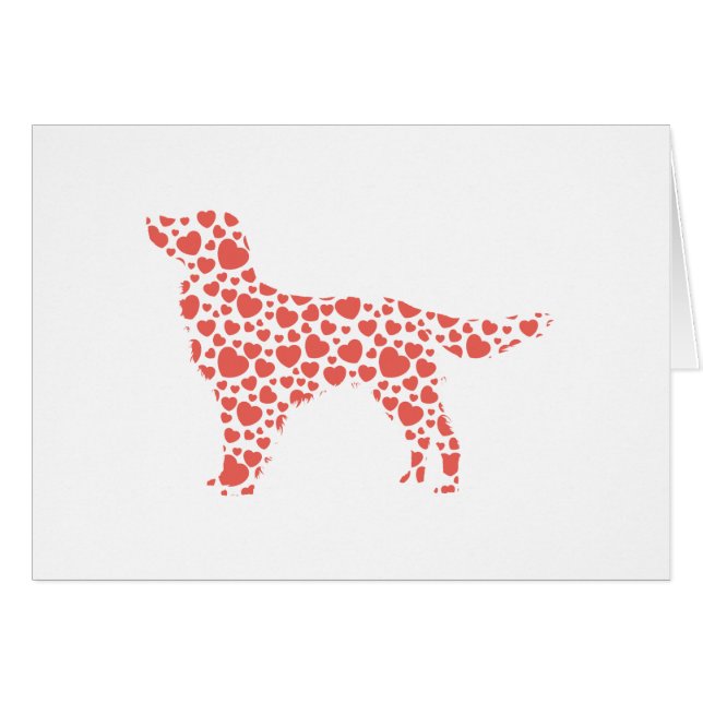 大きいMunsterlander (正面横)