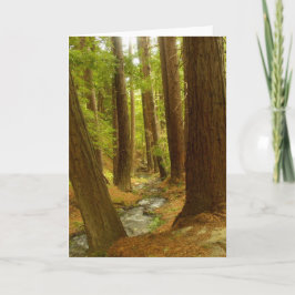 大きいSur、カリフォルニア カード