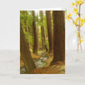 大きいSur、カリフォルニア カード (黄色い花)