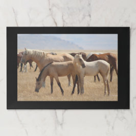 大きいTEARAWAYのランチョンマット ペーパーパッド