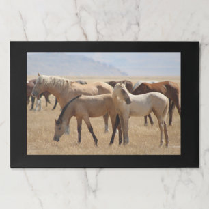 大きいTEARAWAYのランチョンマット ペーパーパッド