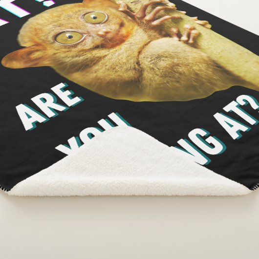 大きおもしろいい目のタルシエー何を見ているか シェルパブランケット (3/4)