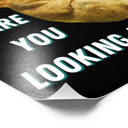 大きおもしろいい目のタルシエー何を見ているか フォトプリント (角)