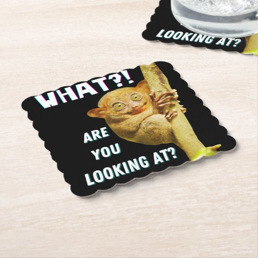 大きおもしろいい目のタルシエー何を見ているか ペーパーコースター (アングル)