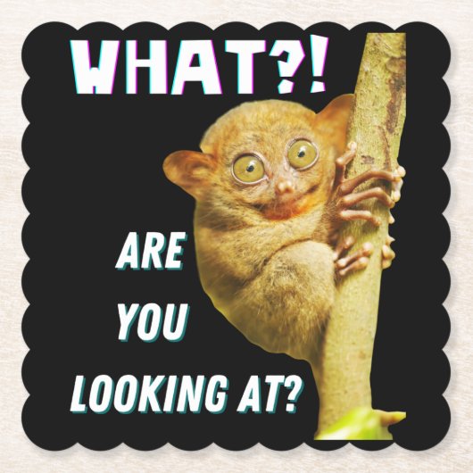 大きおもしろいい目のタルシエー何を見ているか ペーパーコースター (正面)