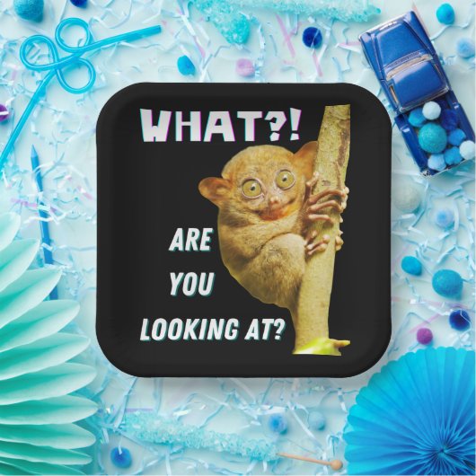 大きおもしろいい目のタルシエー何を見ているか ペーパープレート (パーティー)