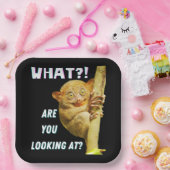 大きおもしろいい目のタルシエー何を見ているか ペーパープレート (パーティー)