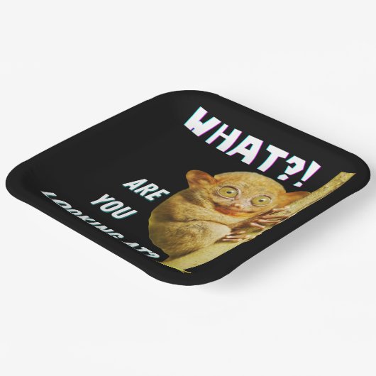 大きおもしろいい目のタルシエー何を見ているか ペーパープレート (傾斜あり)