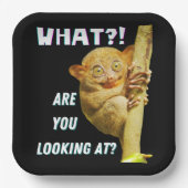 大きおもしろいい目のタルシエー何を見ているか ペーパープレート (正面)