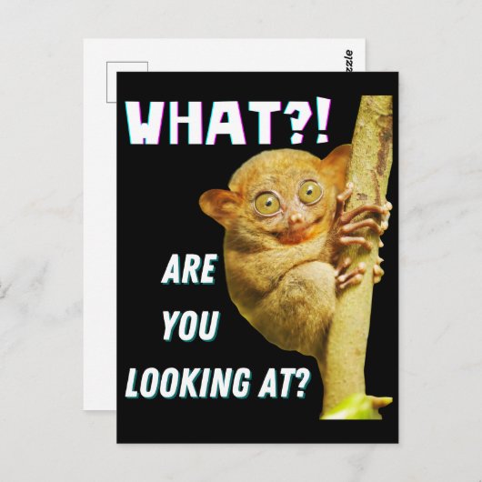 大きおもしろいい目のタルシエー何を見ているか ポストカード (正面/裏面)