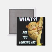 大きおもしろいい目のタルシエー何を見ているか マグネット (正面/裏面)