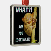 大きおもしろいい目のタルシエー何を見ているか メタルオーナメント (右)