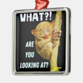 大きおもしろいい目のタルシエー何を見ているか メタルオーナメント (左)