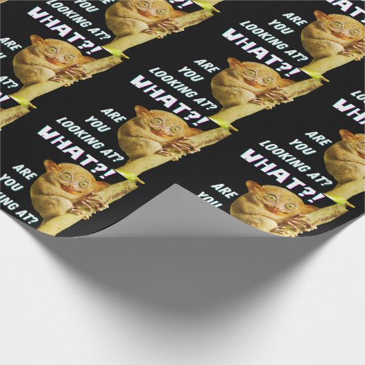 大きおもしろいい目のタルシエー何を見ているか ラッピングペーパー (角)