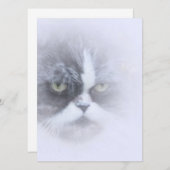 大きおもしろいい目をしたペルシャ猫 (正面/裏面)