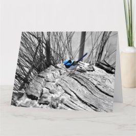 大きくすばらしい妖精のミソサザイの挨拶状 カード