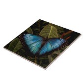 大きくて美しい青い蝶 タイル (側面)