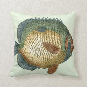 大きくカラフルな魚 クッション
