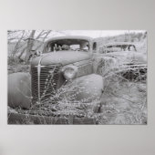 大きく伸びる ポスター (正面)