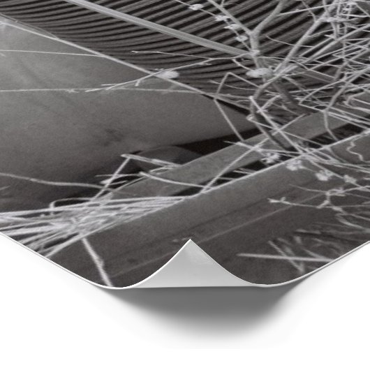 大きく伸びる ポスター (角)