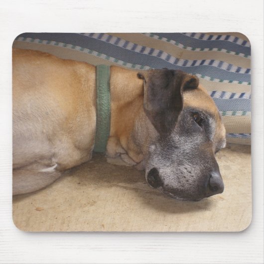 大きく甘いグレートデーン マウスパッド (正面)