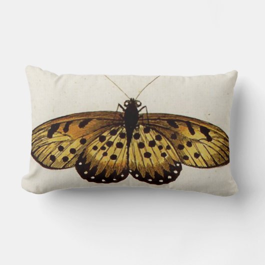 大きく美しいオレンジ蝶Lumbarの装飾用クッション ランバークッション (正面)