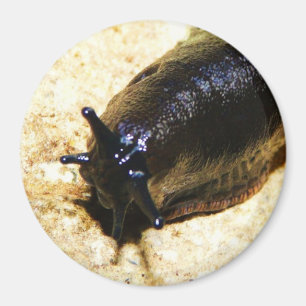 大きく黒いスラグ マグネット
