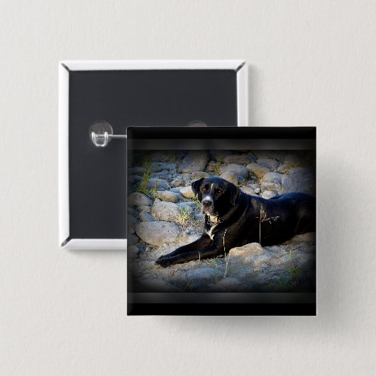 大きく黒いピットブルの実験室の十字 缶バッジ (正面&裏面)