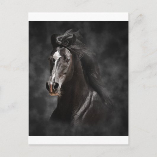 大きく、はっきりした、誇りを持った ポストカード (正面)