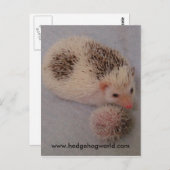 大きく、小さい点の郵便はがき ポストカード (正面/裏面)