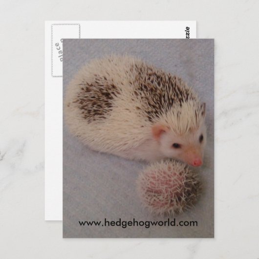 大きく、小さい点の郵便はがき ポストカード (正面/裏面)