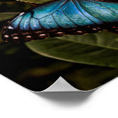 大きく、美しく、青い蝶 ポスター (角)