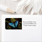 大きく、美しく、青い蝶 ラベル (インサイチュ)