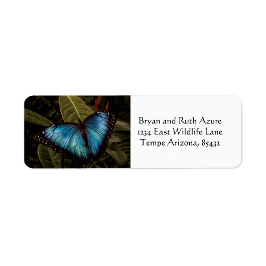 大きく、美しく、青い蝶 ラベル (正面)