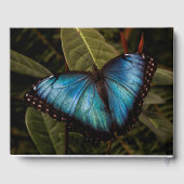 大きく、美しく、青い、蝶 ゲストブック (裏面)