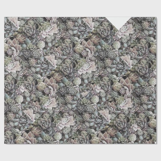 大きく、黙した水気が多いSempervivums - ラッピングペーパー (フラット)