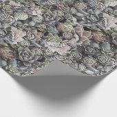 大きく、黙した水気が多いSempervivums - ラッピングペーパー (角)