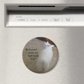 大きなお尻? – しっぽは無い マグネット (インサイチュ (食洗機))