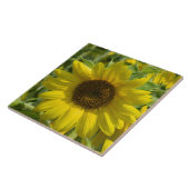 大きなひまわり装飾瓦 タイル (側面)