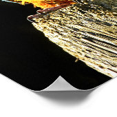 大きなオレンジとティール（緑がかった色）のオウム ポスター (角)