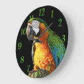 大きなオレンジとティール(緑がかった色)のオウム ラージ壁時計 (傾斜)