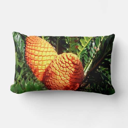 大きなオレンジ色のアフリカ種の円錐莢 ランバークッション (正面)