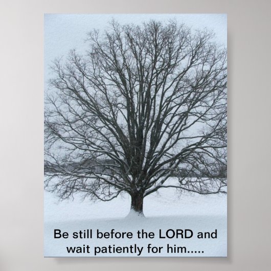 大きなオークの木 ポスター (正面)