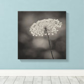 大きなクイーンアンズレースの花ソフト背景セピア キャンバスプリント (インサイチュ (ウッドフロア))