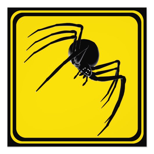 大きなクモの交配！ フォトプリント            (正面)