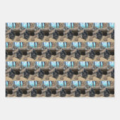 大きなゴリラ ラッピングペーパーシート (正面3)