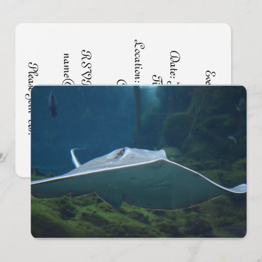 大きなサメの一種 招待状 (正面/裏面)