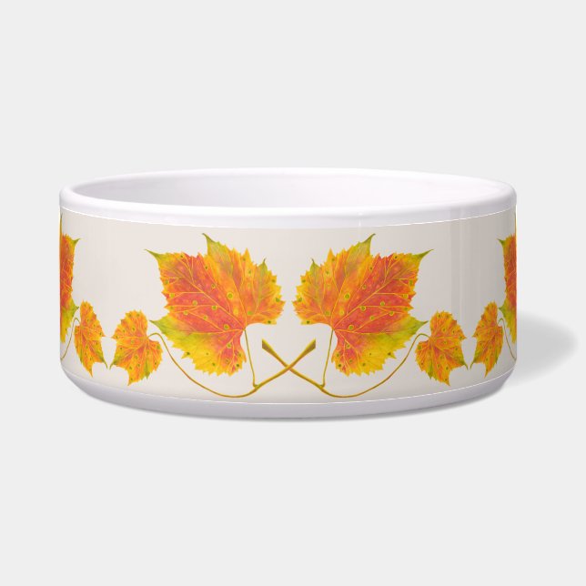 大きなサラダボウルに入った秋 ボウル (正面)